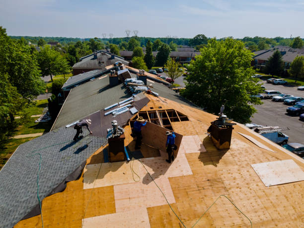 Best Local Roofing Companies  in Walcott, IA